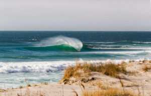 La Federación Española de Surfing hace pública la información de toda su oferta formativa del 2023